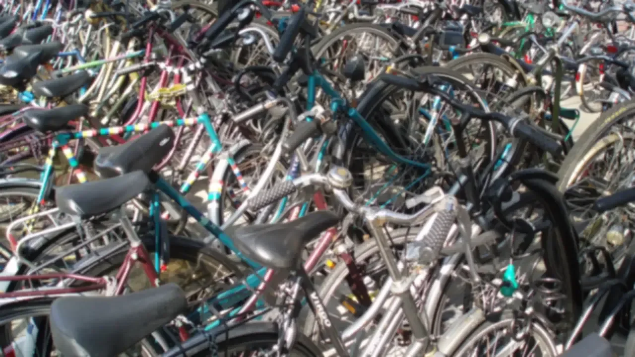 Rows of parked bicycles packed together in a bike parking area