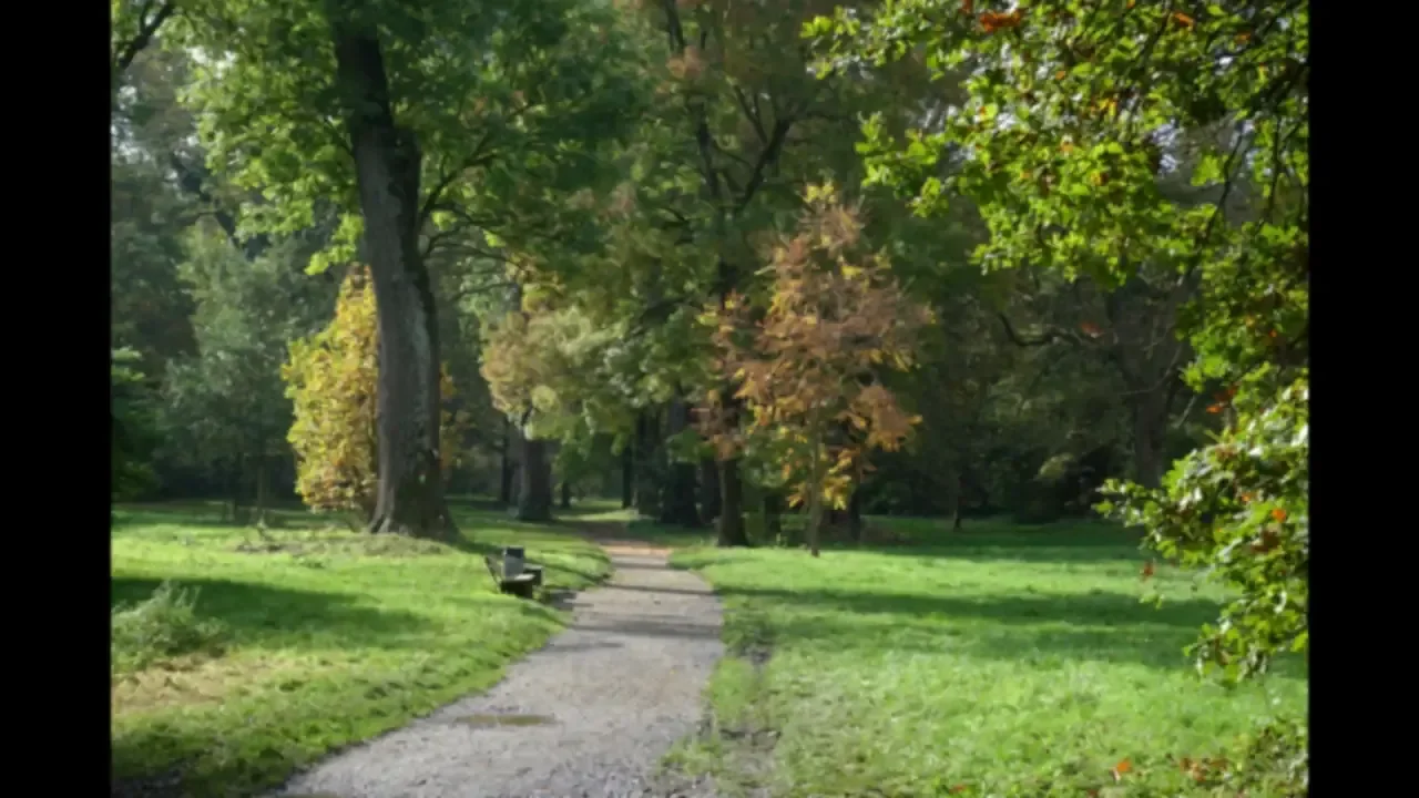 A gravel pathway winding through a green park with mature trees