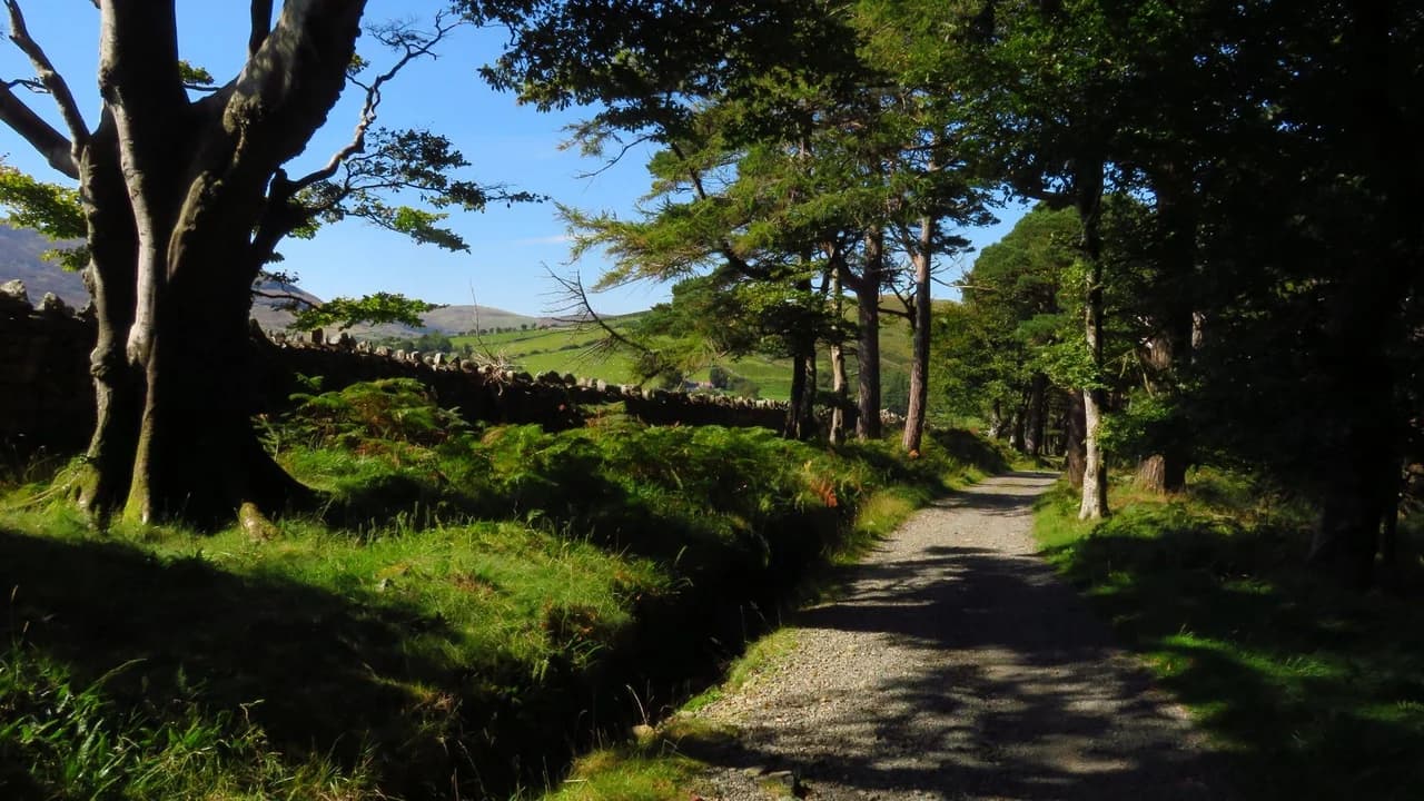 A gravel walking trail winding through trees and grass; no people visible.
